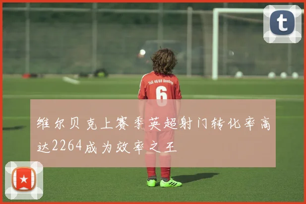 维尔贝克上赛季英超射门转化率高达2264成为效率之王