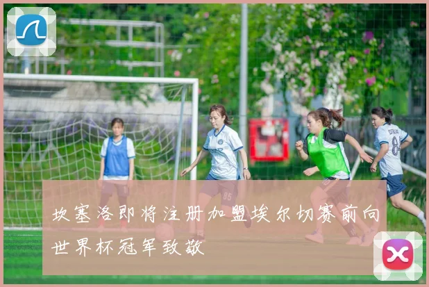 坎塞洛即将注册加盟埃尔切赛前向世界杯冠军致敬