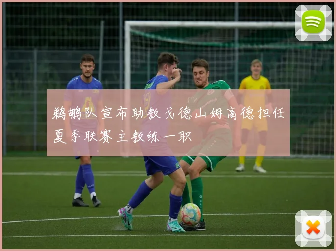 鹈鹕队宣布助教戈德山姆高德担任夏季联赛主教练一职