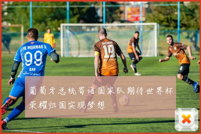 葡萄牙总统寄语国家队期待世界杯荣耀归国实现梦想